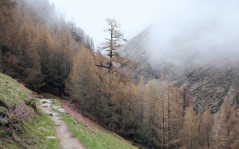 Süni İntellektin Gələcəyi: 2025-ci ildə Nələr Gözləyir?