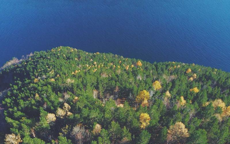 5G Texnologiyası: Sürət və İmkanlar