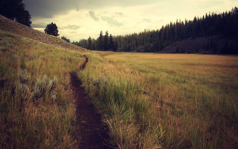 Blockchain və Kriptovalyutaların İnkişafı