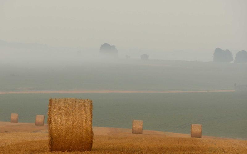 Minimalist Web Dizayn Prinsipləri