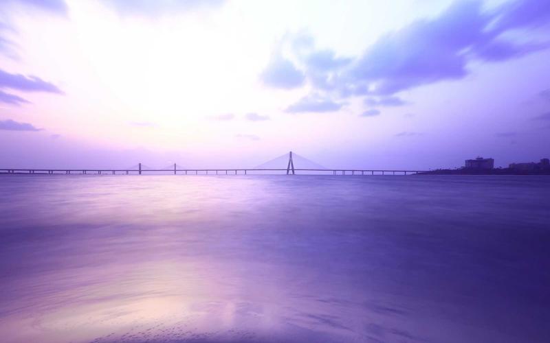 Soft Skills: Beyond Technical Abilities