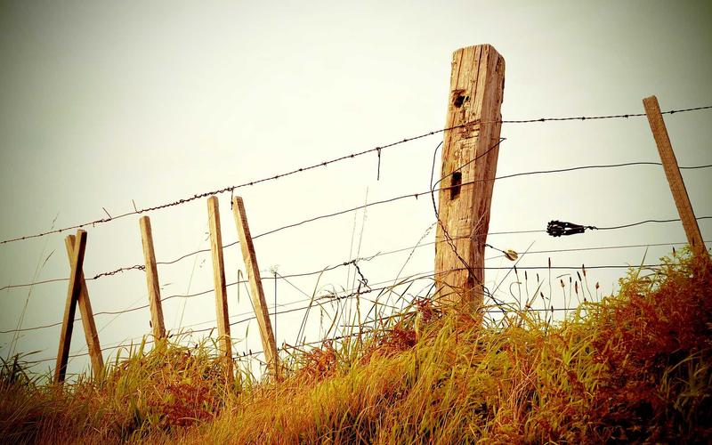 Becoming a Tech Lead: Leadership Skills